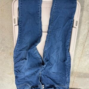 Wallflower Classic Blue Jeans